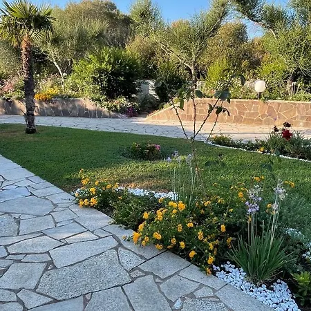 Sardegna - Saggio