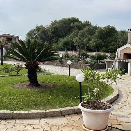 Sardegna - Saggio Olbia