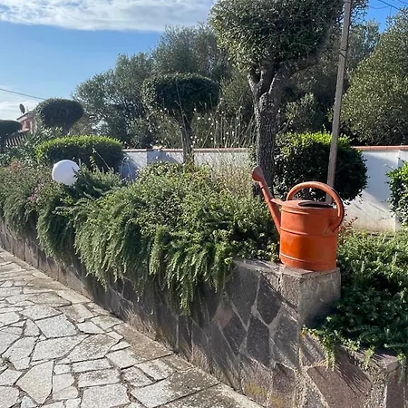 Sardegna - Mirto & Flowers Apartment Olbia