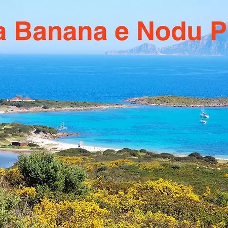 Sardegna - Mirto & Flowers Apartment Olbia