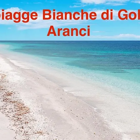 Sardegna - Mirto & Flowers