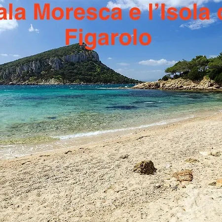 Sardegna - Mirto & Flowers *