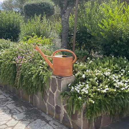 公寓 Sardegna - Mirto & Flowers *